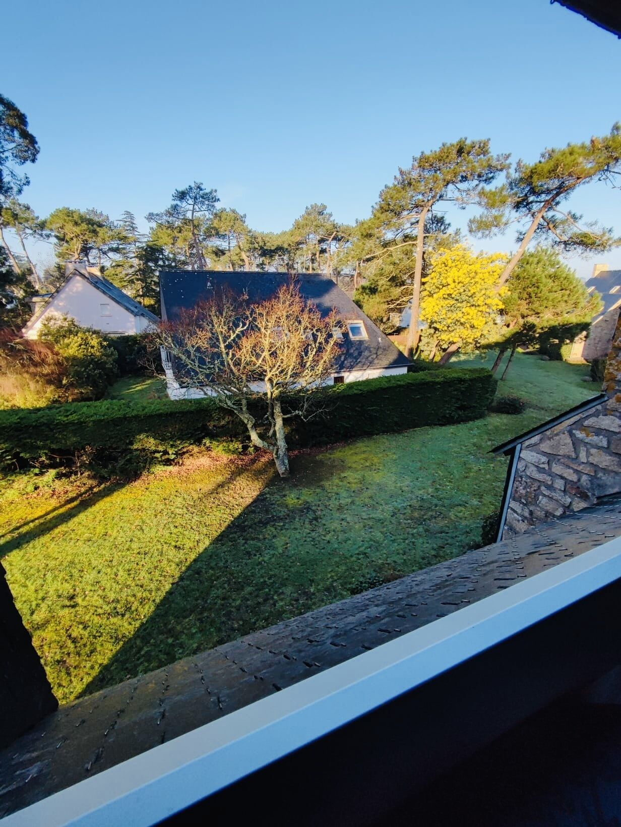 A residential area with houses, a well-maintained lawn, and a tree.