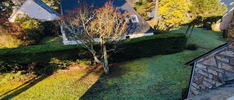 A residential area with houses, a well-maintained lawn, and a tree.
