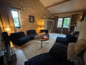 TV, fireplace, video games, DVD player