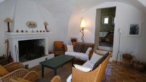 TV, fireplace, books