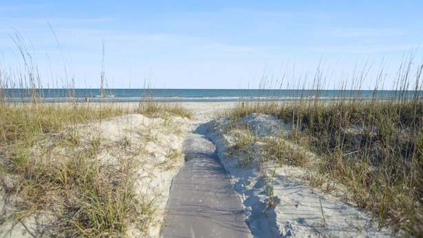 Ein sandiger Küstenweg führt zum Meer, umgeben von hohem Gras.