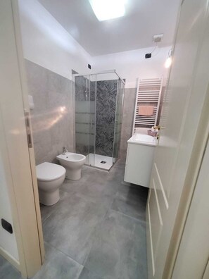 Shower, hair dryer, bidet, towels