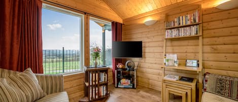 Smart TV, libros y estéreo