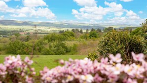 Ein weites Panoramabild einer ländlichen Landschaft mit sanften Hügeln, grünen Feldern und vereinzelten Bäumen.