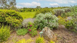Um jardim arborizado com diversas plantas e uma formação rochosa.
