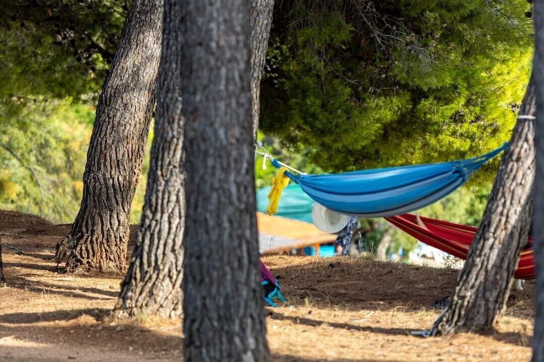 A hammock tied between trees in a wooded area.