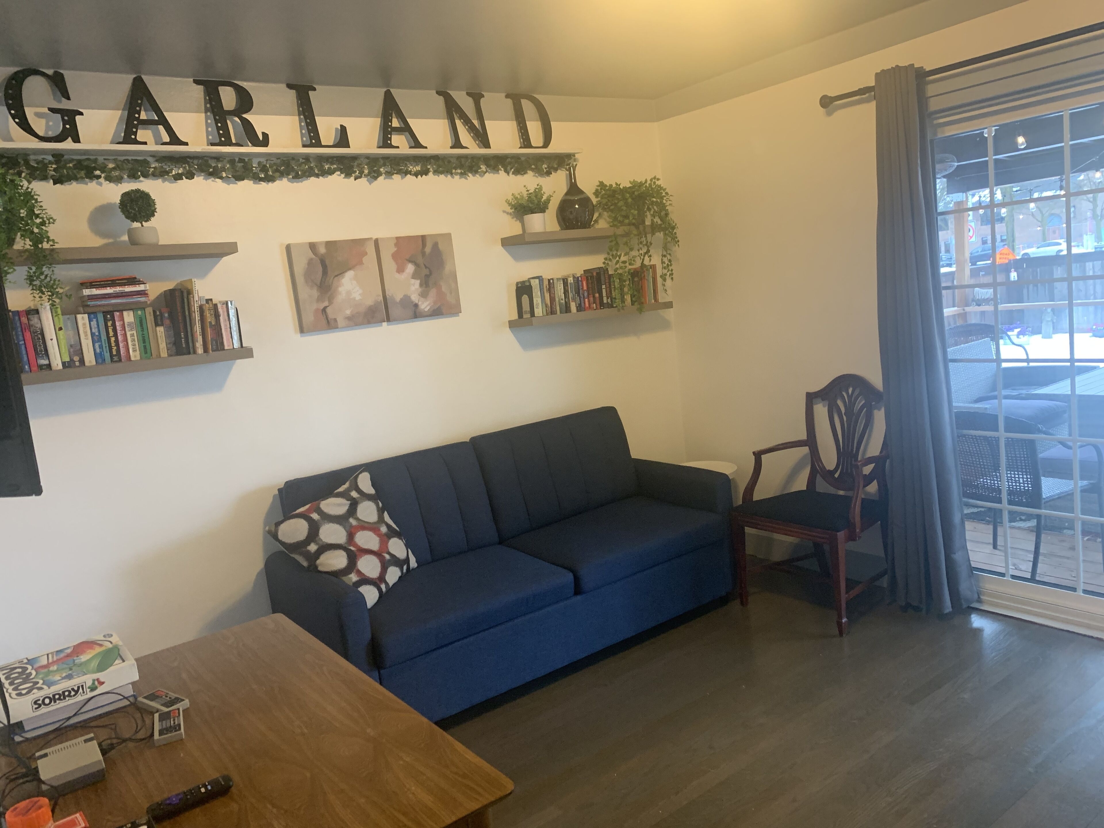 Smart TV, fireplace, video games, books