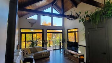 TV connectée, cheminée, lecteur de DVD, livres