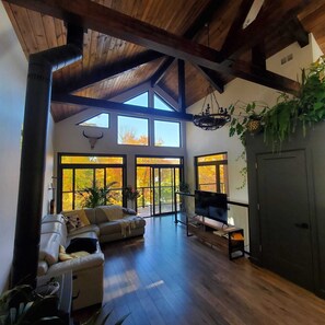 Téléviseur connecté, foyer, lecteur de DVD, livres