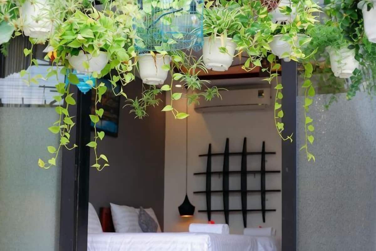 A room with a bed, a black wall art piece, and hanging plants.