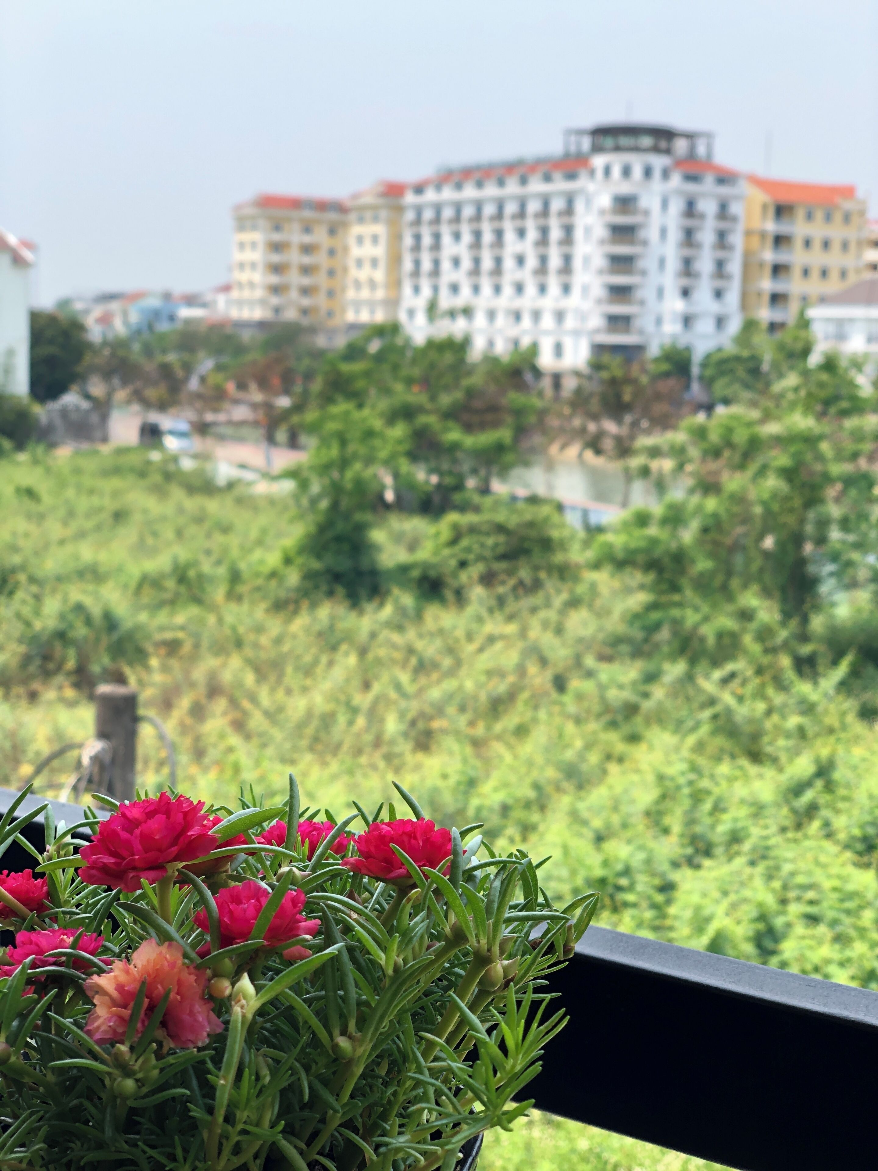 Foto - Hoài River Hội An Homestay Sông Hoài Homestay 250m walk to the center Old Town