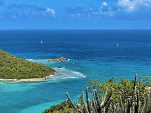 A coastal landscape with clear blue waters, a sandy beach, and a dense green area.