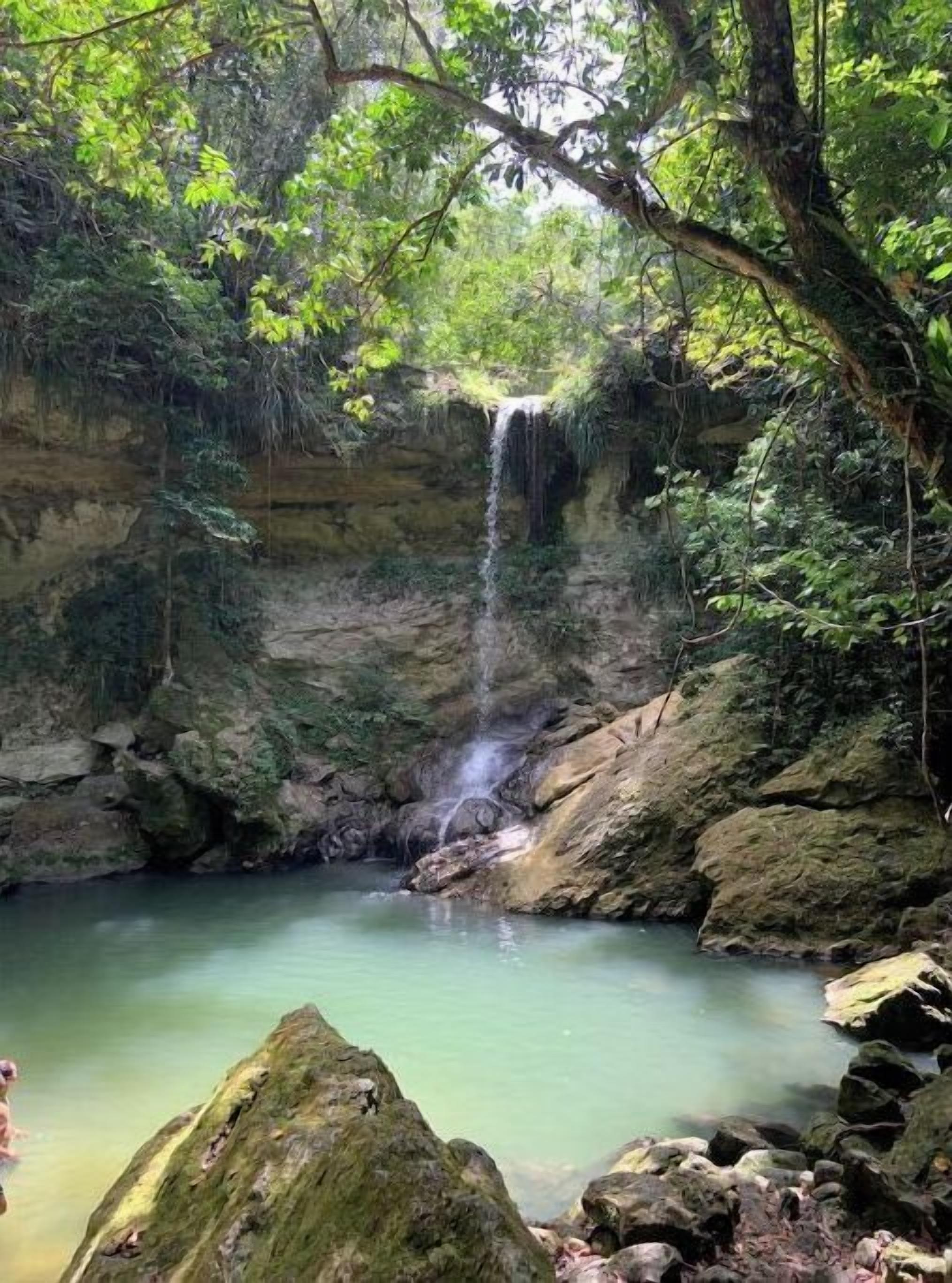 A natural waterfall in a forested area with a pool at the base.