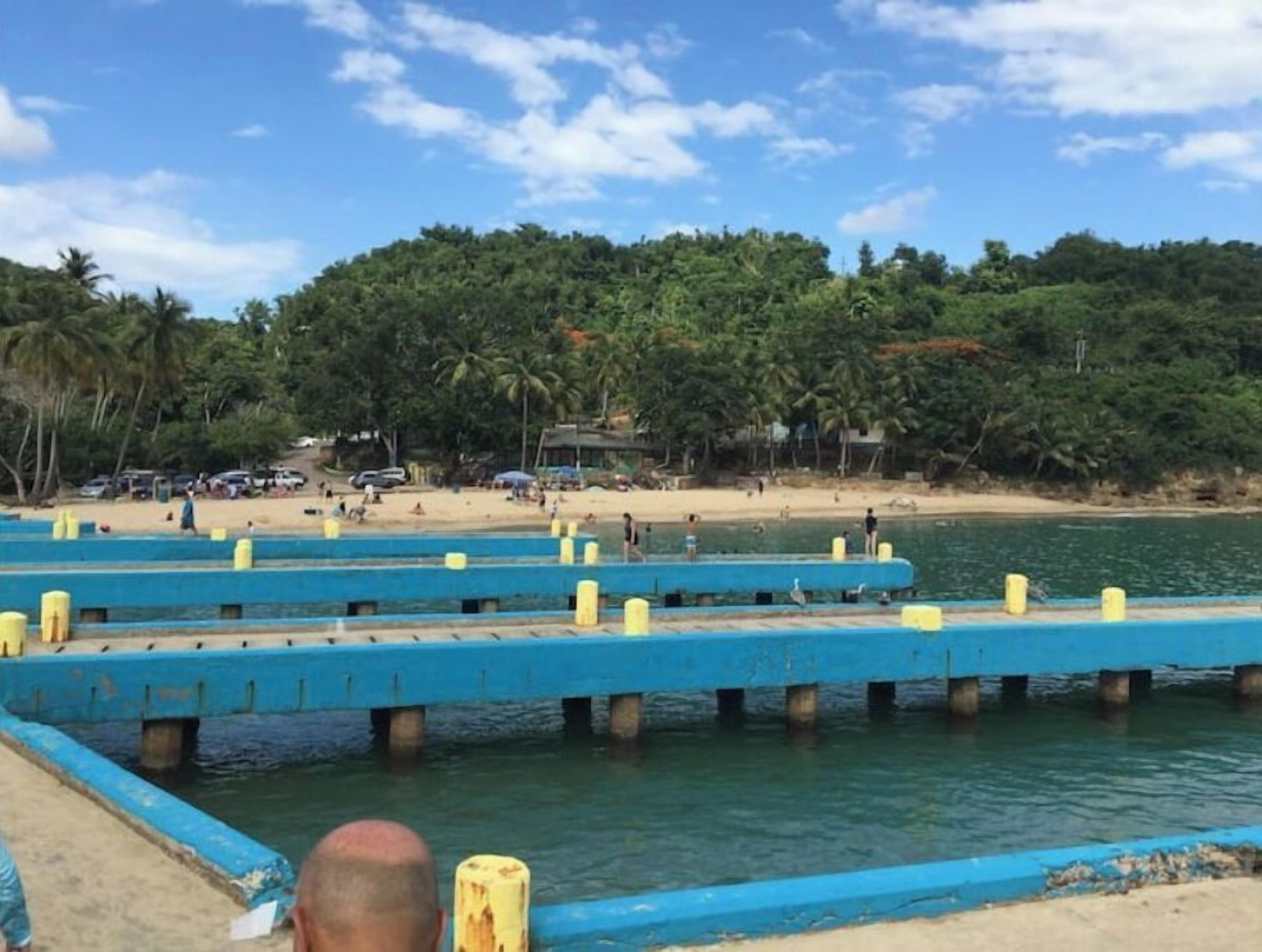 Eine Pier mit blauen Geländern und gelben Pfählen, die in ruhiges Wasser führen, umgeben von einem Strand und dichtem Grün.