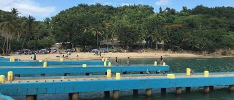Eine Pier mit blauen Geländern und gelben Pfählen, die in ruhiges Wasser führen, umgeben von einem Strand und dichtem Grün.