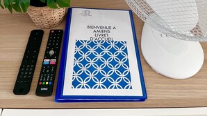 A wooden table with a potted plant, two remote controls, a welcome booklet, and a white fan.