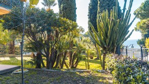 A garden with various plants, including tall cacti and palm trees. - Lemon Apartment With Garden and Sea View by Wonderful Italy (Bordighera)