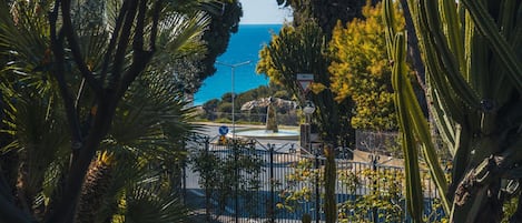 A coastal view with a fenced area, palm trees, and a clear sky.
