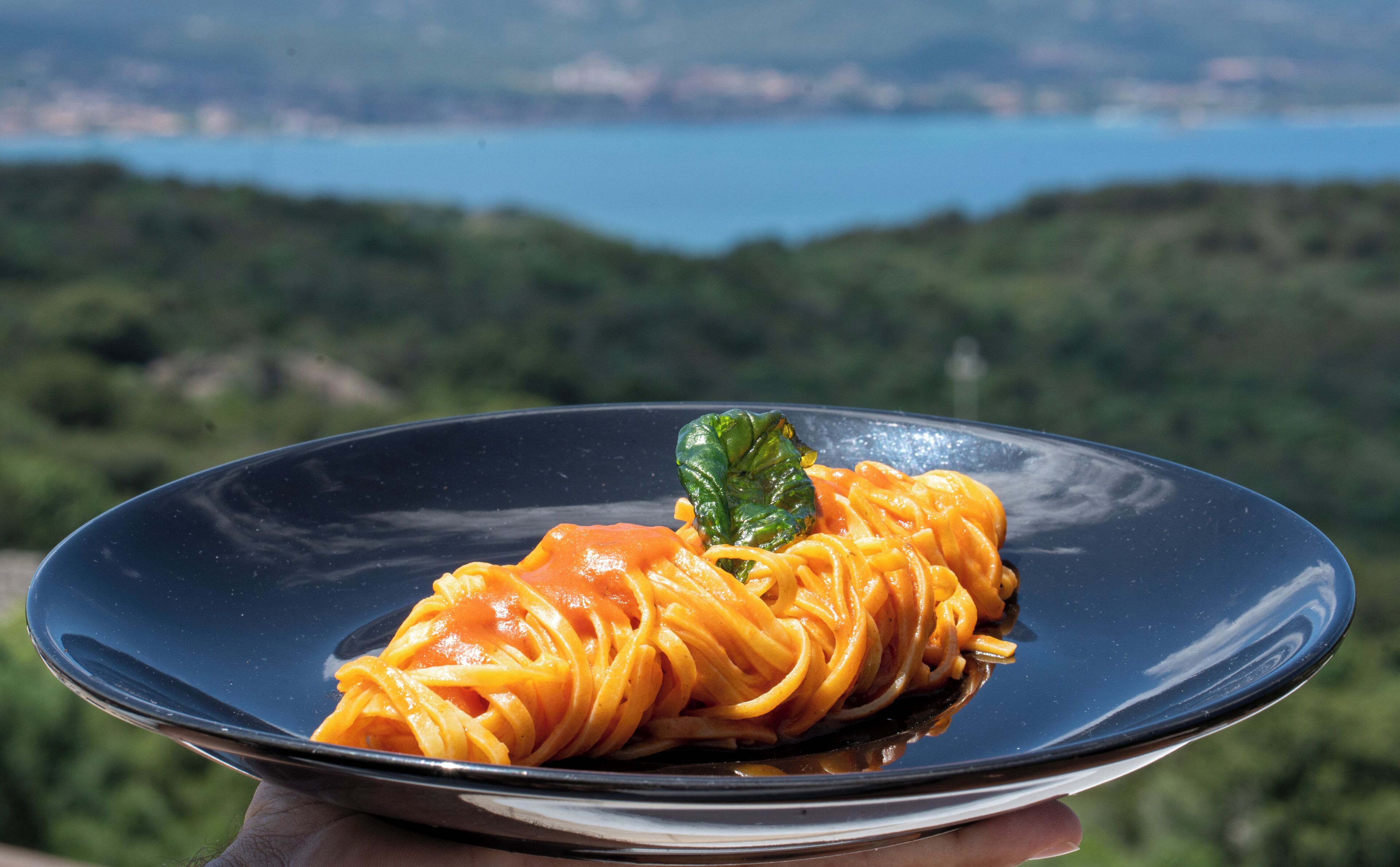 A plate of spaghetti with tomato sauce and a garnish, held in front of a scenic view of a lake and hills.