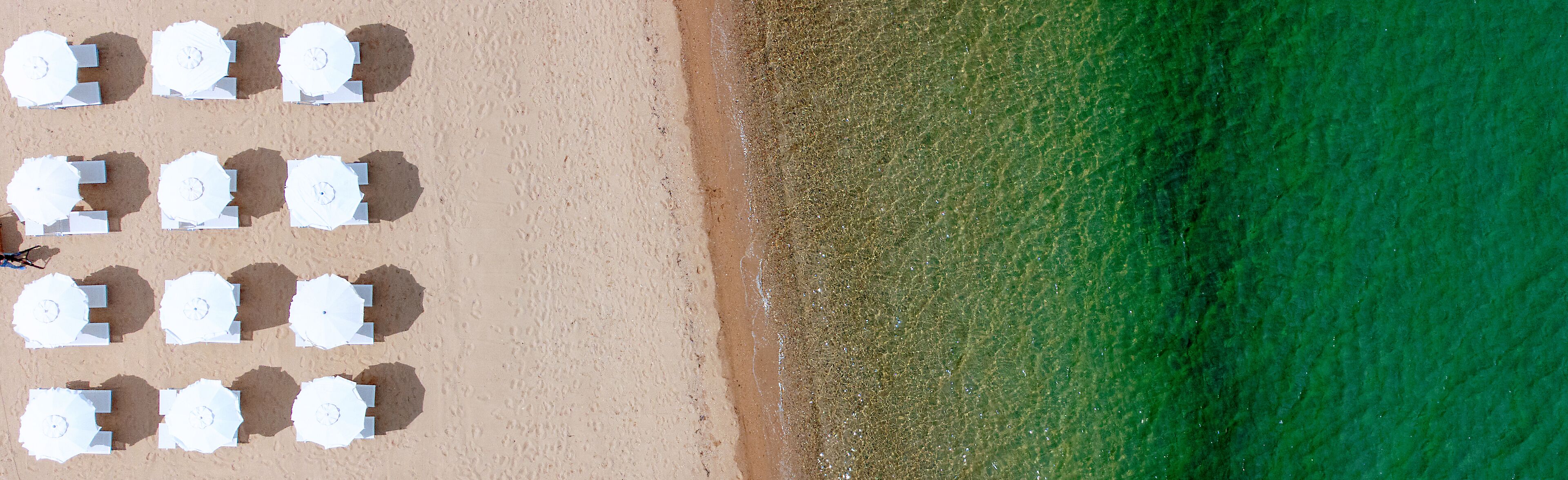 An aerial view of a beach with rows of white beach umbrellas aligned parallel to the shoreline.
