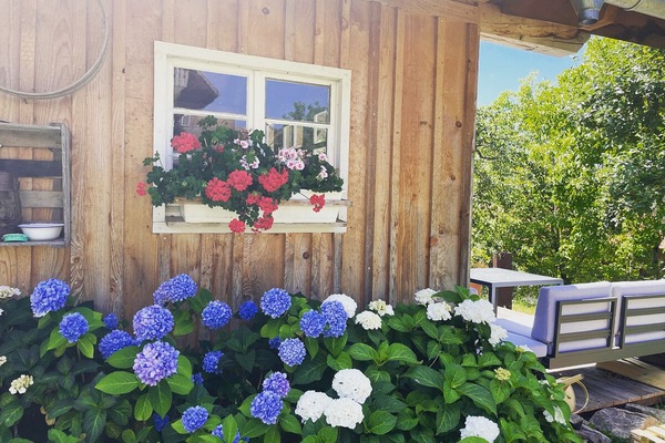 Gartenhaus mit Terrasse