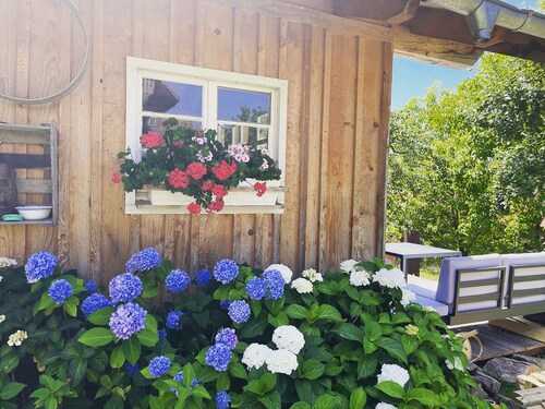 Family-friendly temporary home