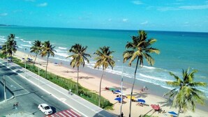 Una playa con palmeras, una carretera y un coche blanco.