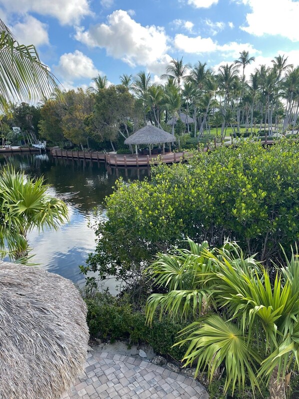 Property grounds - A place in paradise! (Islamorada)