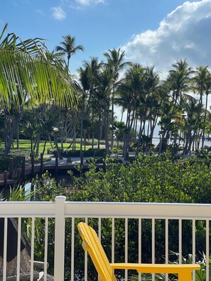 Property grounds - A place in paradise! (Islamorada)