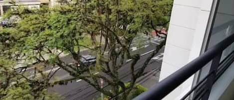 施設の敷地