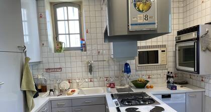Detached house 70km from Paris with direct access