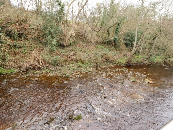 A stream with a rocky bed, surrounded by dense vegetation and trees.