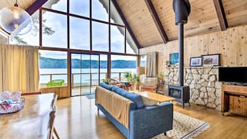TV, fireplace, video game console, DVD player