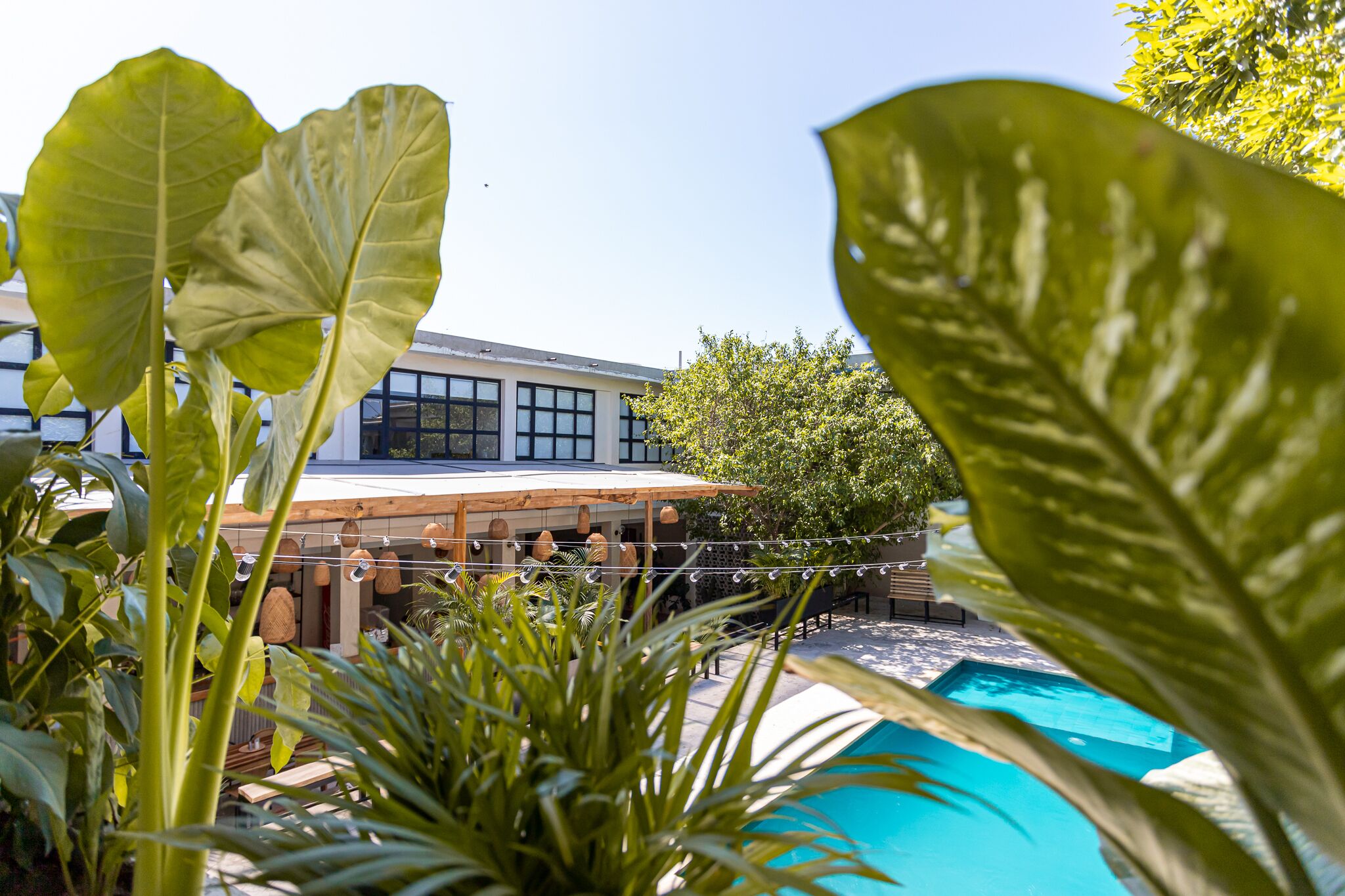 En modern byggnad med stora fönster, en swimmingpool och frodig grönska.