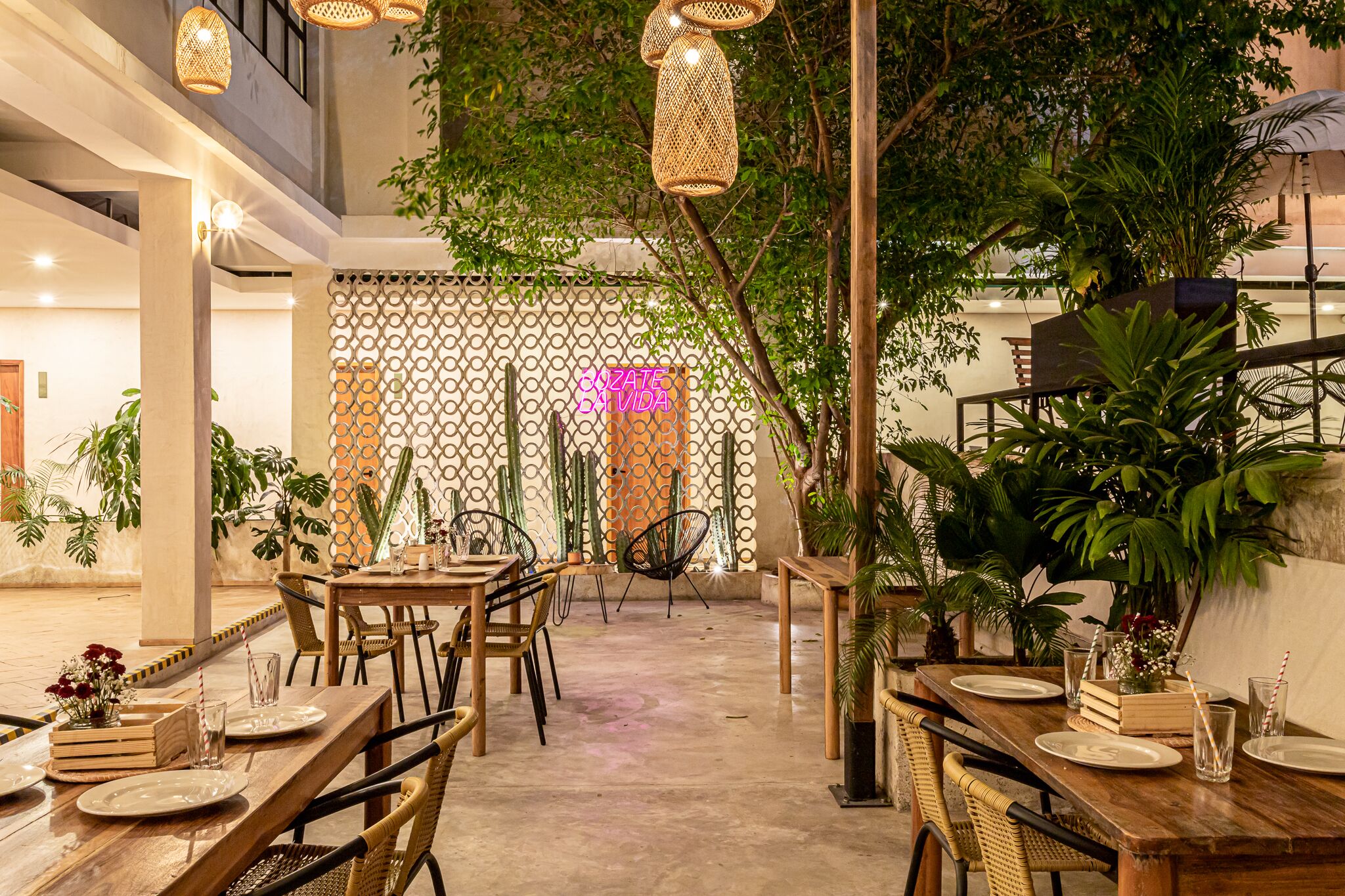 An indoor dining area with wooden tables and chairs, surrounded by potted plants and a decorative fence.