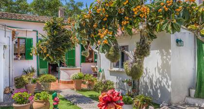 Casa Vileta cozy townhouse with Flair near Palma