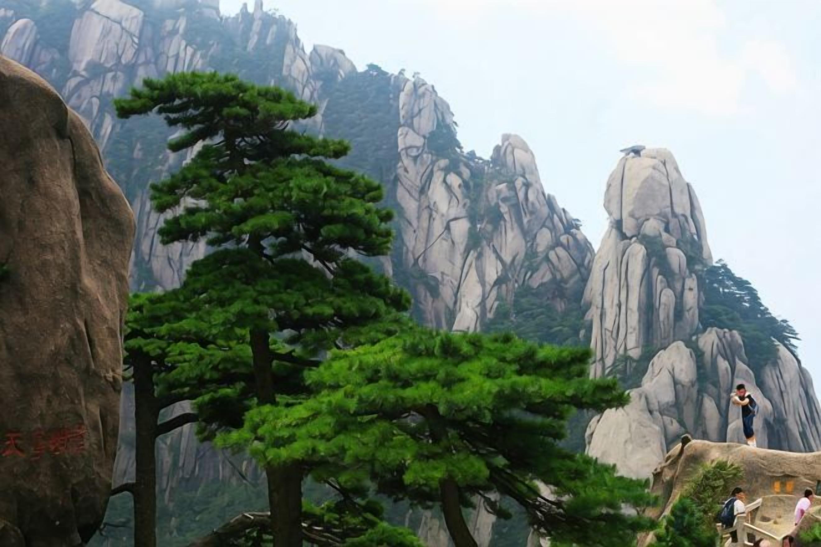 Un paisaje montañoso con una gran formación rocosa y un pino.