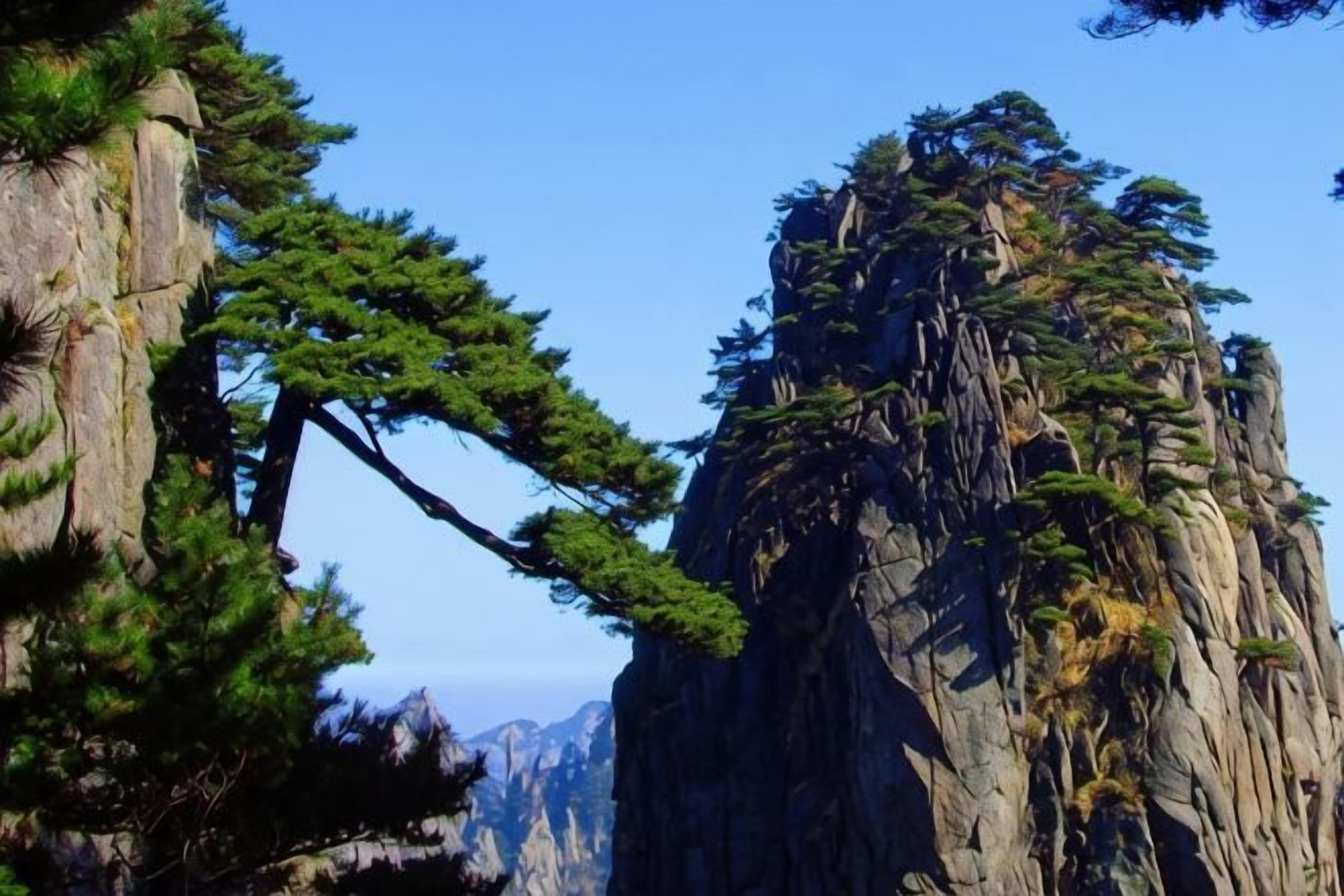 A mountainous landscape with rocky cliffs and pine trees.
