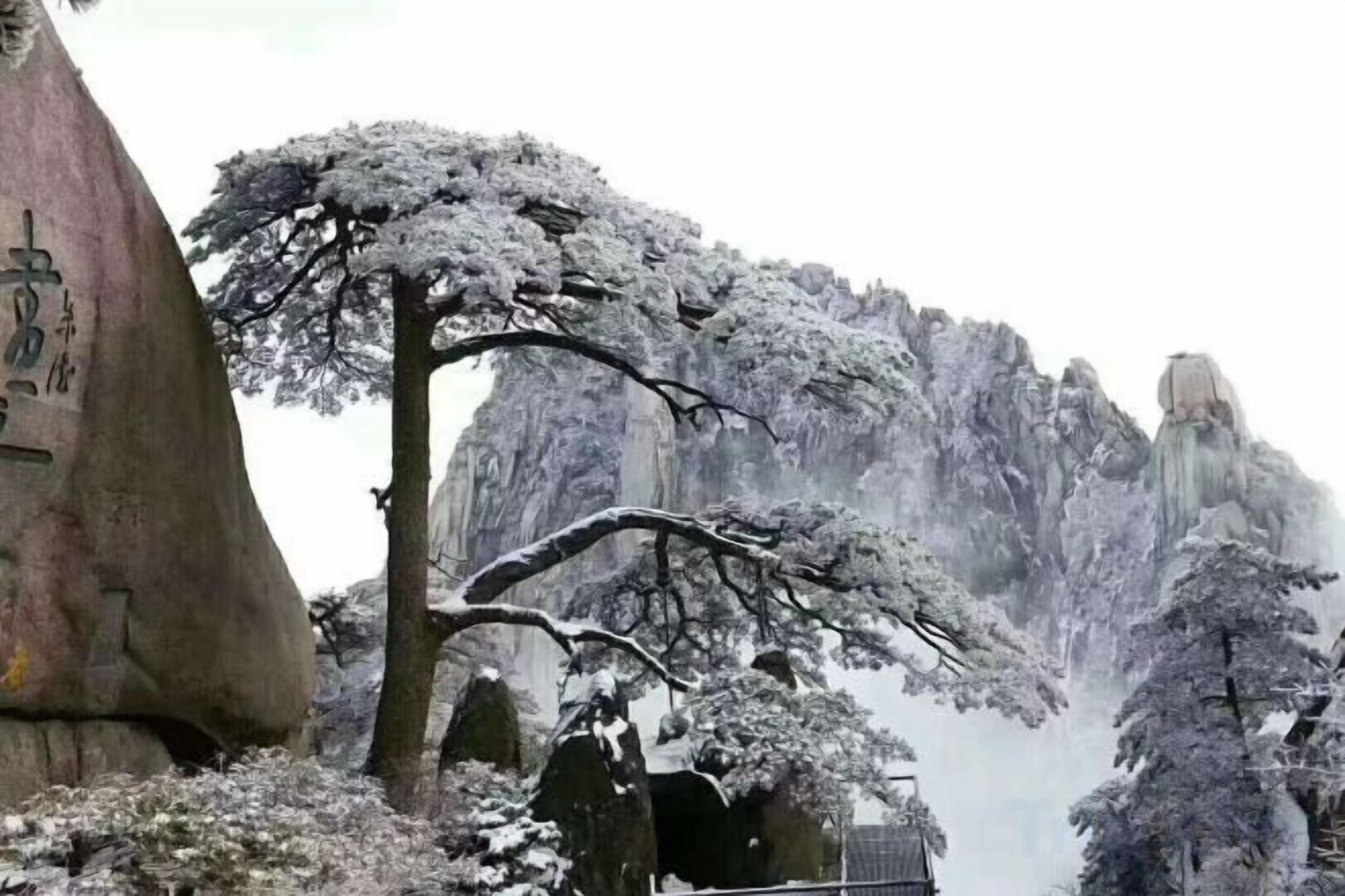 A rock formation with inscriptions, a snow-covered tree, and a mountainous backdrop.