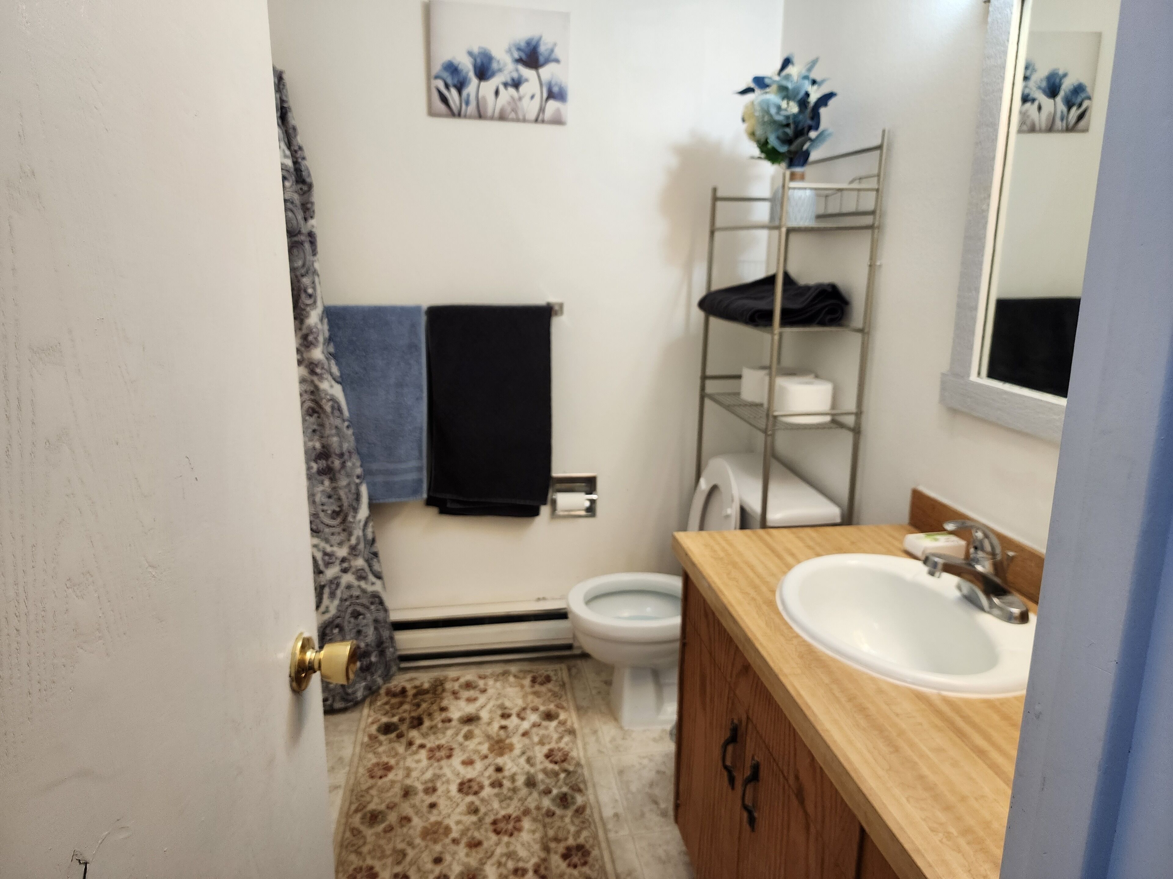 Centrally convient apartment