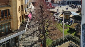Una plaza de pueblo con edificios, un árbol y cielo despejado.