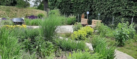 Área da propriedade