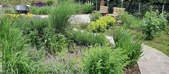 Vacation apartment on a large, idyllic farm complex