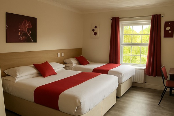 Desk, iron/ironing board, free WiFi