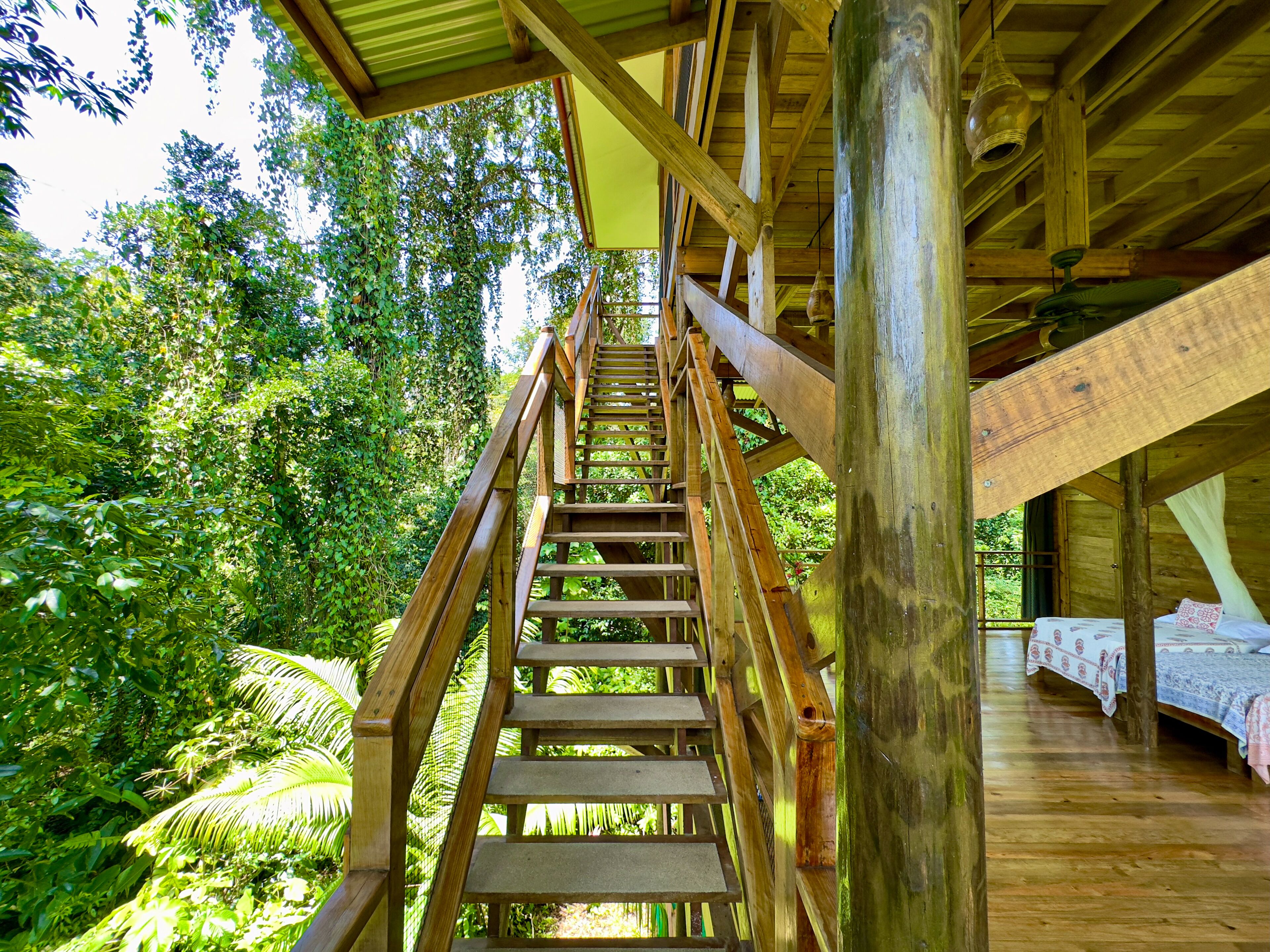 Panoramic Tree House | Floor plan