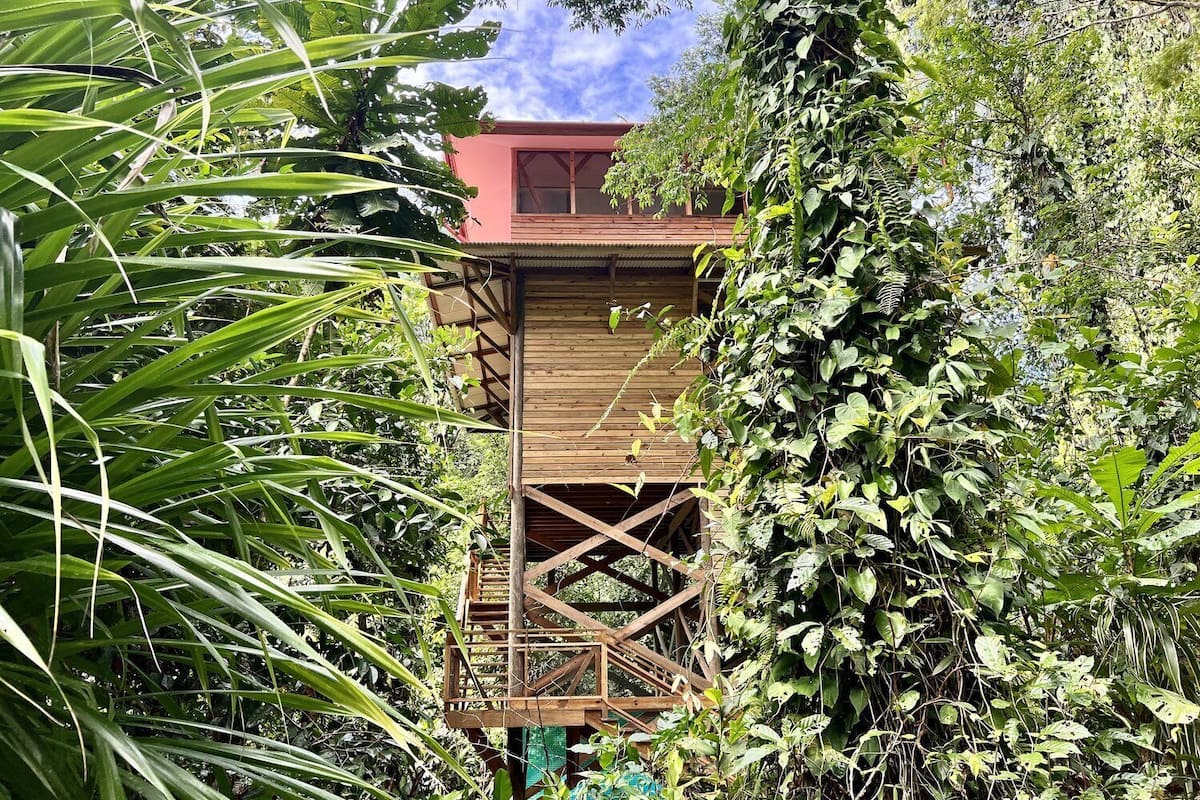Panoramic Tree House | 2 bedrooms, premium bedding, memory foam beds, individually decorated