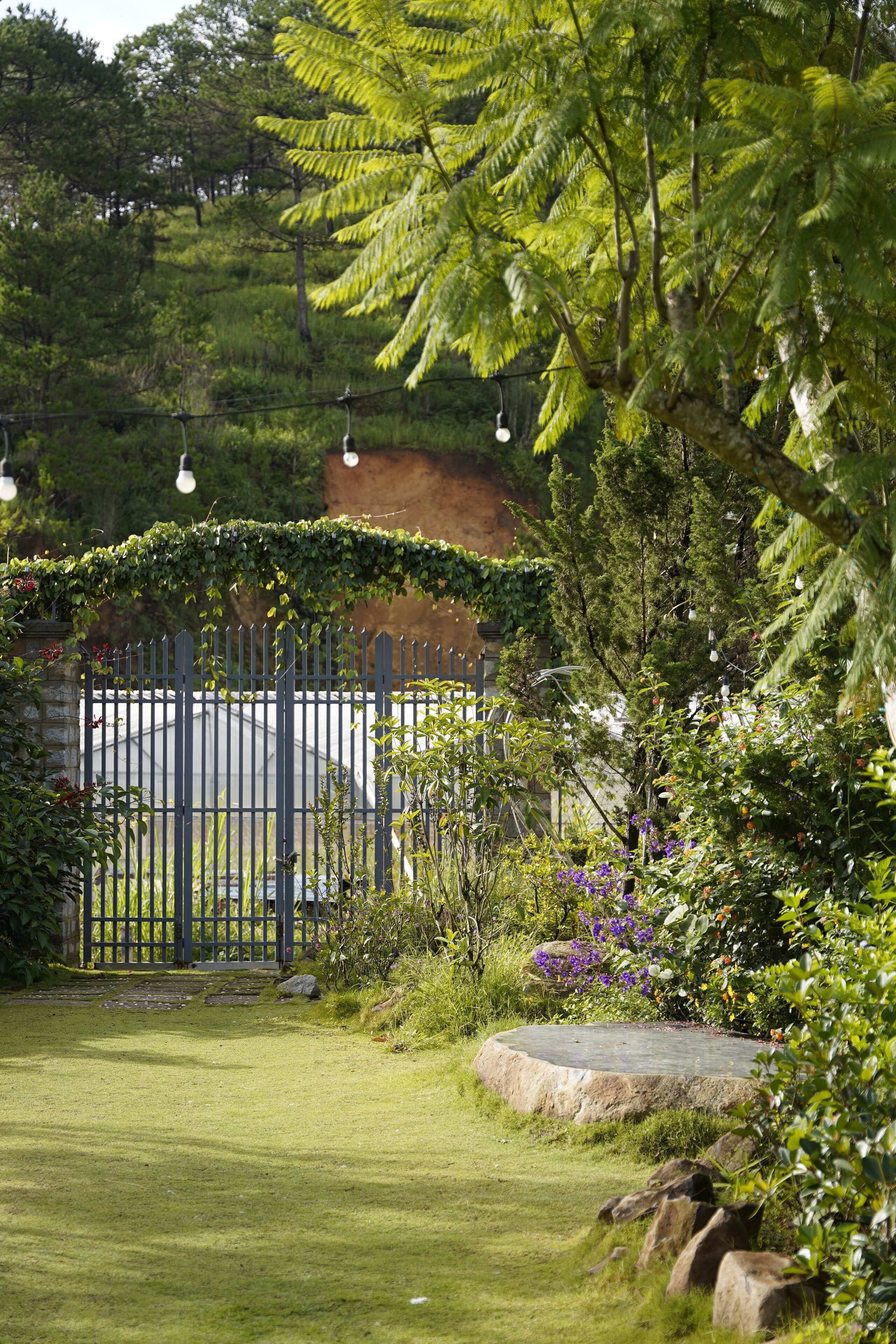 Ein Garten mit Metallzaun, einem Kiesweg und verschiedenen Pflanzen und Blumen.