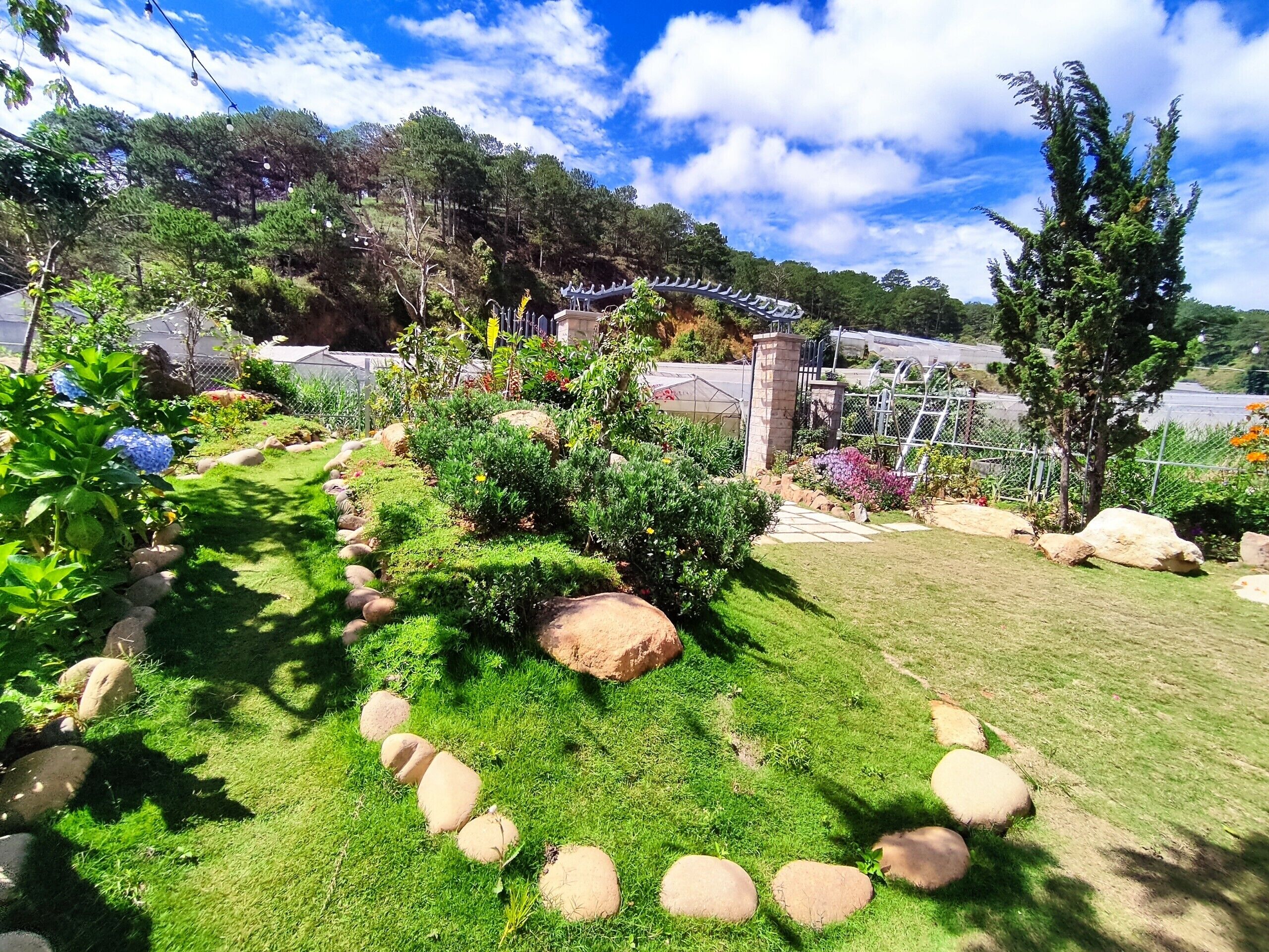 A well-maintained garden with a variety of plants and a stone pathway.