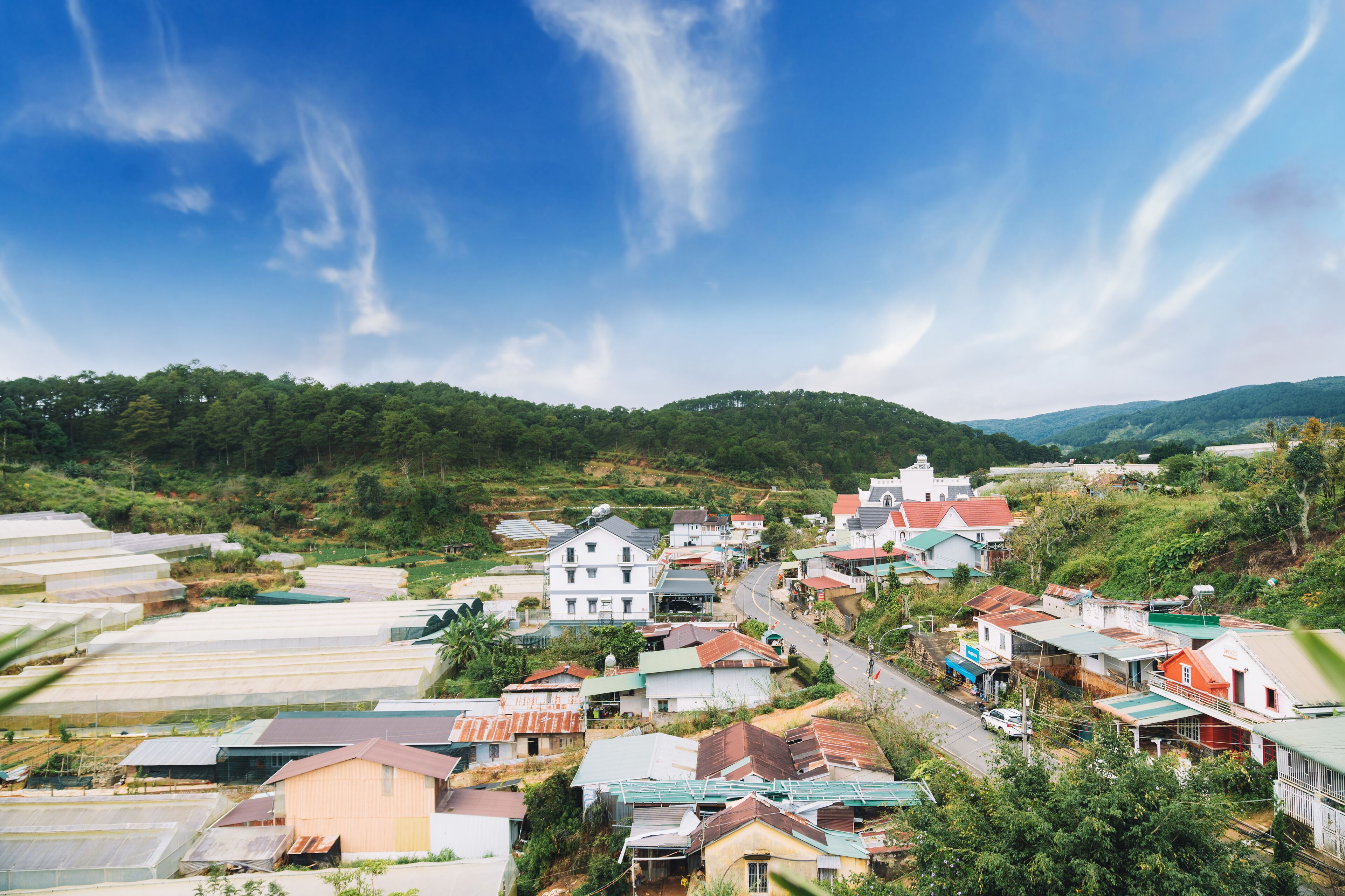 A rural village with houses, a road, and green fields.