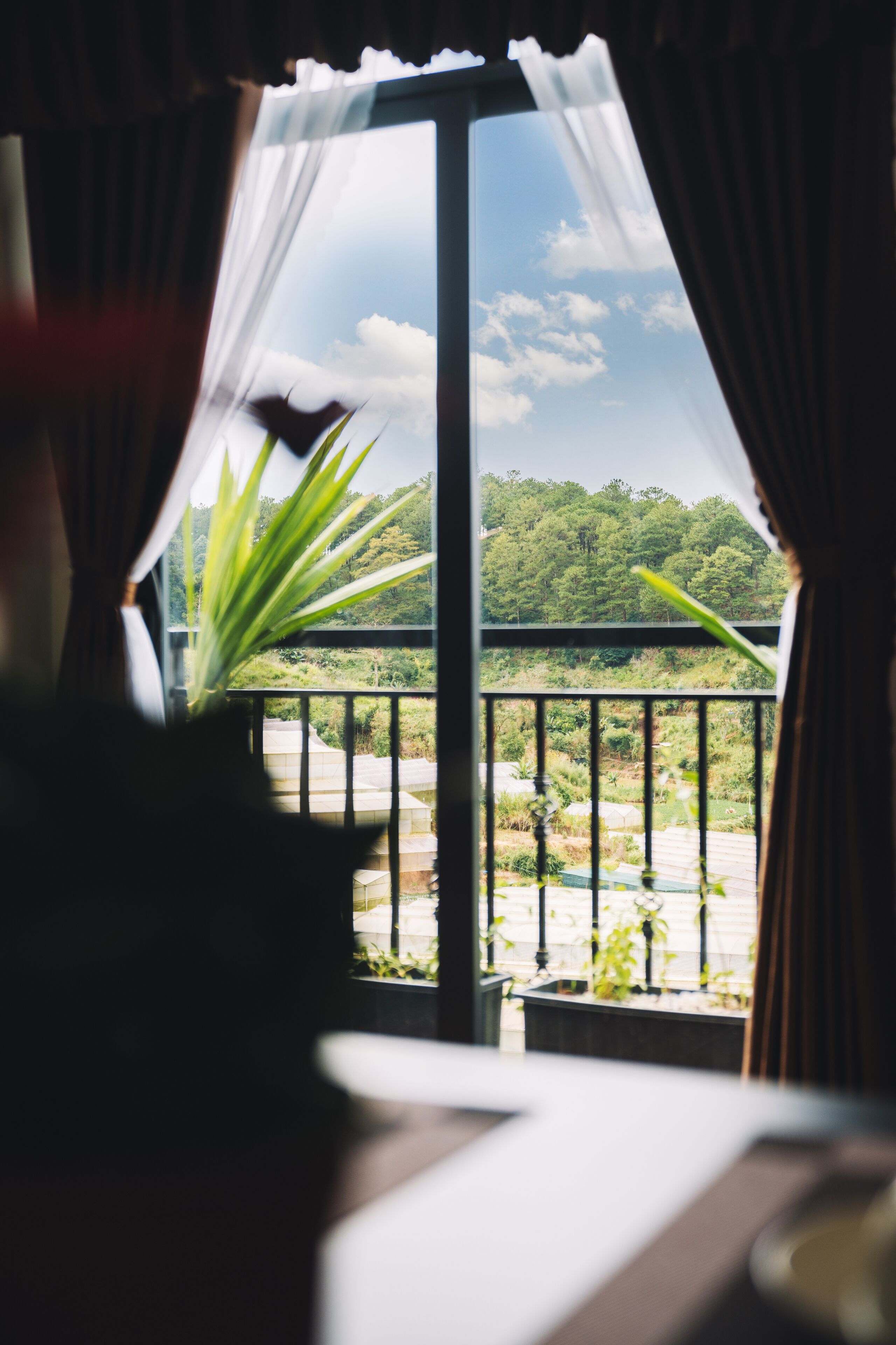 A view from a balcony with a railing, a potted plant, and a glimpse of greenery outside.